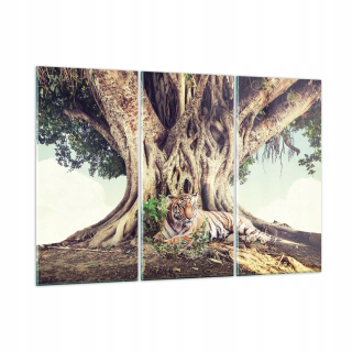 Obrázok na skle 165x110 Tiger Wild Tree