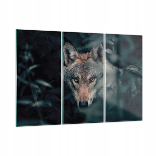 Obrázok na skle 165x110 Dravec vlkového lesa