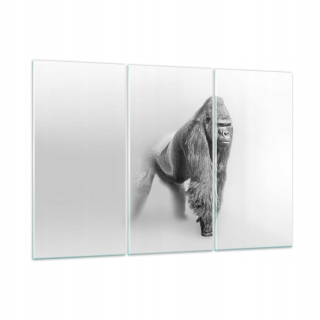 Obrázok na sklenenej fotografii Gorilla GCE165X110-4105