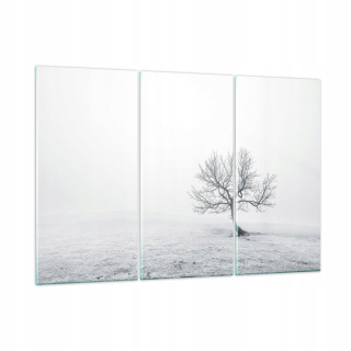 Obrázok na sklenenom zimnom mraze GCE165X110-3683