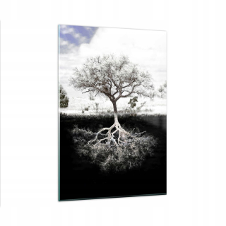 Obrázok na skle 80x120 Roots Roots odraz