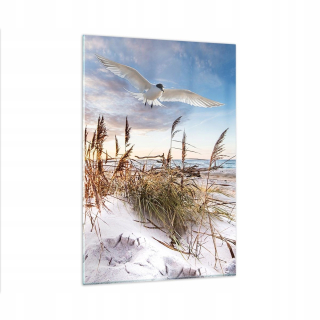 Obrázok na skle 80x120 Seam Sea Coast