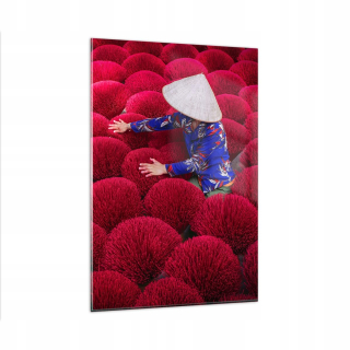 Obrázok na skle 80x120 Suchý kadidlo Vietnam