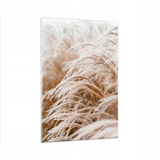 Obrázok na skle 80x120 Grass Nature Frost