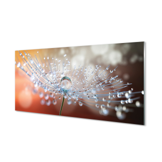Maľba akrylom Drops púpava makro, 140x70 cm