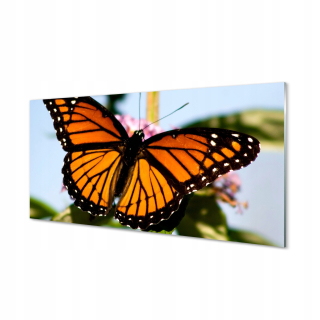 Grafický obrázok na skle farebný motýľ 120x60 cm