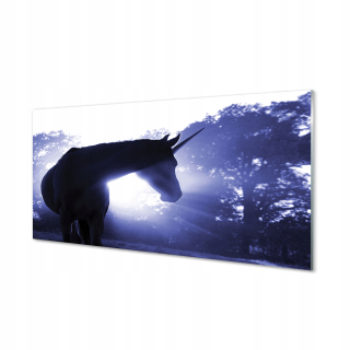 Obrázok na akrylovom sklenenom lese Unicorn 140x70 cm
