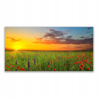 Moderná maľba 140x70 Sun Meadow Flowers Príroda