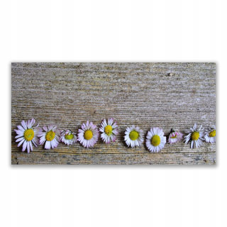 Moderná maľba 140x70 Daisy Plant Príroda