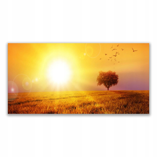 Moderný obraz 140x70 Sunset Meadow Birds