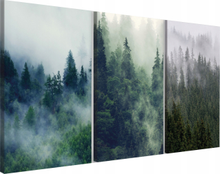 Obrazové maľby na stene steny Triptych Forest 90x180