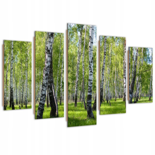 Päťdielny obraz Deco Panel, Brezy - 200x100