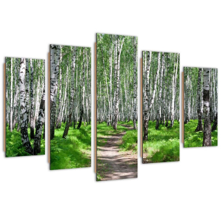 Päť -časový obrazový panel, brezový les - 1