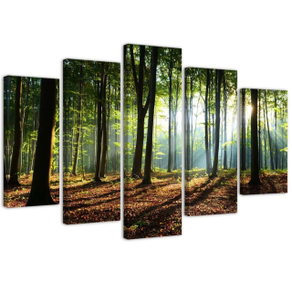 Obrázok päť -diel na plátne, Sun Rays
