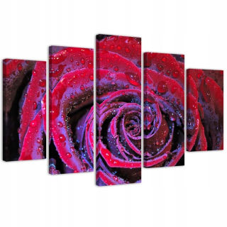 Obrázok pre miestnosť voda kvapky Rose 200x100