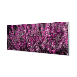 Plexes Obrázok moderného výtlačku Heather Field 125x50