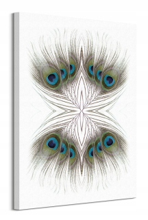 Alyson Fennell Peacock Feathers Image Canvas 60x80 cm