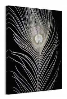 Alyson Fennell Peacock Feather Picture Canvas 60x80 cm