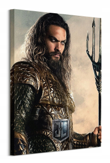 Justice League Aquaman Image Canvas 60x80 cm