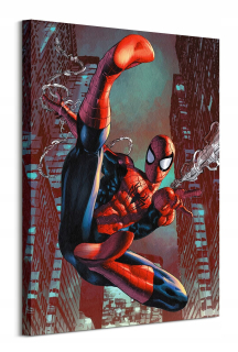 Obrázok na stene - pre deti - Spider -man - 60x80cm