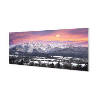 Plex Wall Image Mountain Winter Snow 125x50 cm