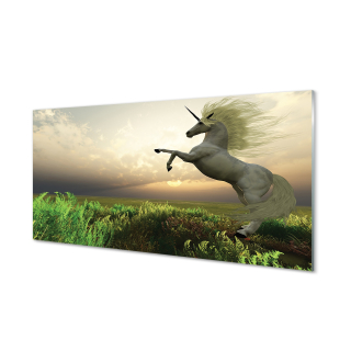 Obrázok steny poľa Plexisks Unicorn 120x60 cm