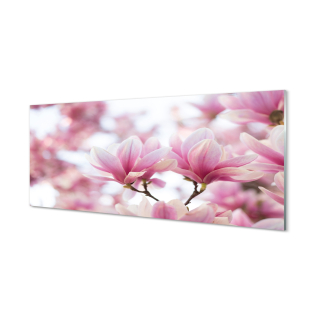 Magnolia Magnolia Wall Image 125x50 cm
