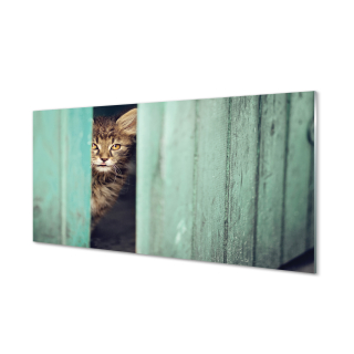 Plex Wall Image vyzerá 120x60 cm
