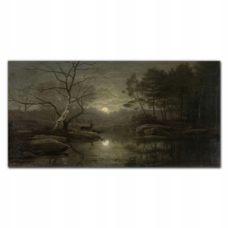Obrázok rieky Glass Moon Natura 140x70