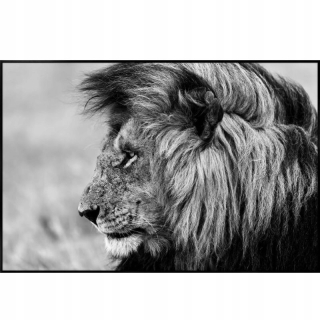 Picture Glass Picture, Etno, moderné, čiernobiele