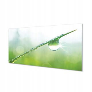 Obrázok akrylové sklenené kvapky makro makro 140x70 cm