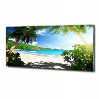 Picture Glass Darge Room Seychel Beach 125x50