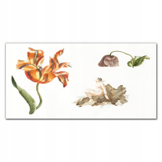 Obraz na sklo s potlačou Flowers vintage 140x70 cm