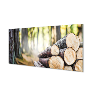 Obrázok akrylové sklo drevo prírodný les 120x60 cm