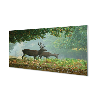 Obrázok akrylové sklo jeleň Las Fall 120x60 cm