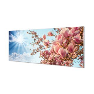 Obrázok akrylové sklo Magnolia Sky Sun 125x50