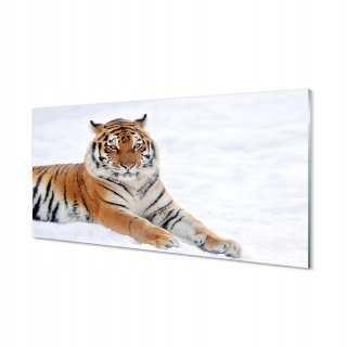 Maľba akrylové sklo Tiger, zima, sneh, 140x70 cm