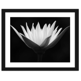 Obrázok v rámci Black Lotos 90x60