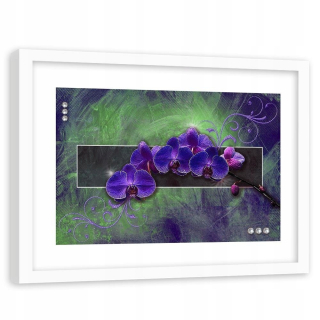 Obrázok v bielom ráme, fialová orchidea