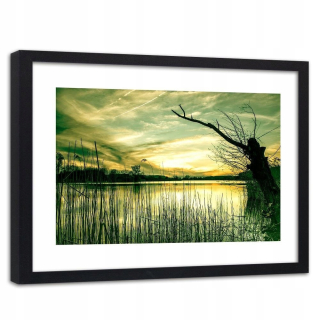 Obrázok biely rám suchý strom pri jazere 120x80