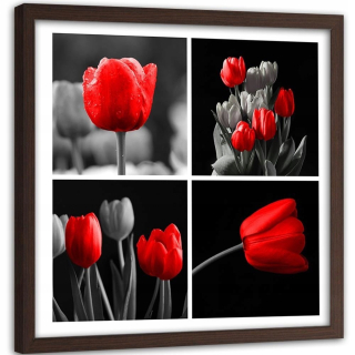 Obrázková sada červených tulipánov v šedej farbe 80x80