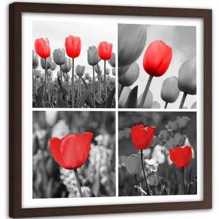 Obrázok v čiernom ráme červené tulips 90x90