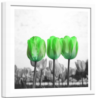 Obrázok v ráme zelené tulipány na lúke 90x90