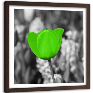 Obrázok v ráme zeleného tulipánu v lúke 90x90