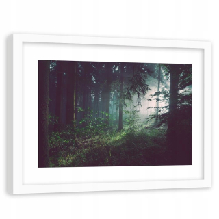 Obrázok v bielom ráme Dark Forest 120x80