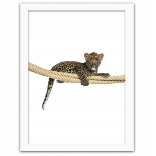 Obrázok v rámci bieleho leoparda na línii 80x120