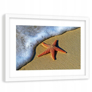 Obrázok v bielom ráme Orange Starfish 90x60