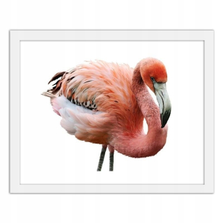 Obrázok v bielom ráme Pink Flamingo 100x70