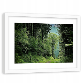 Obrázok v bielom ráme zeleného lesa 120x80