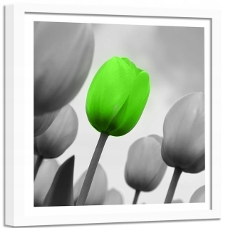 Obrázok v bielom ráme zelený tulip 80x80